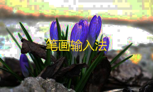 金铲铲智能科技优化笔画输入法